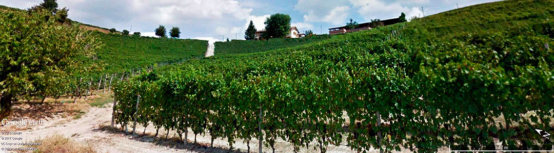 Vinhos da It&aacute;lia