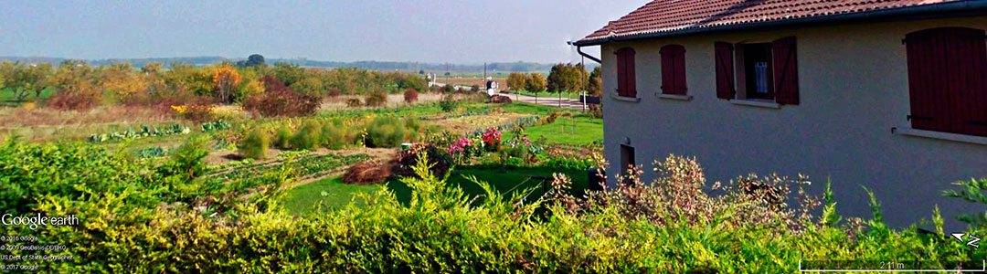 Vinhos da Fran&ccedil;a