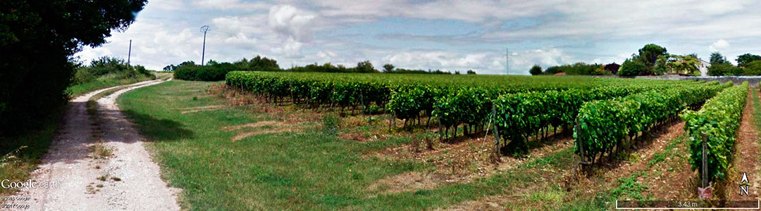 Vinhos da Fran&ccedil;a