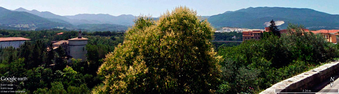 Vinhos da It&aacute;lia