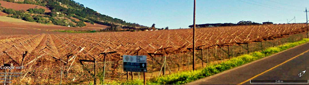 Vinhos da África do Sul