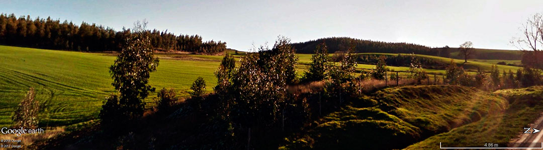 Vinhos do Chile