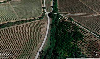 Vinhedos em Montalcino, Vinhos da It&aacute;lia