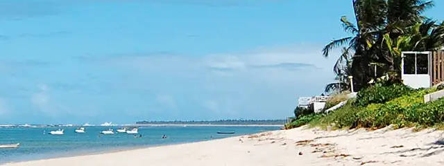 Alagoas en Playas de Brasil © / Ilustración