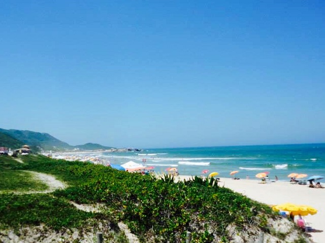 Playa Mole Florianopolis Playas de Brasil