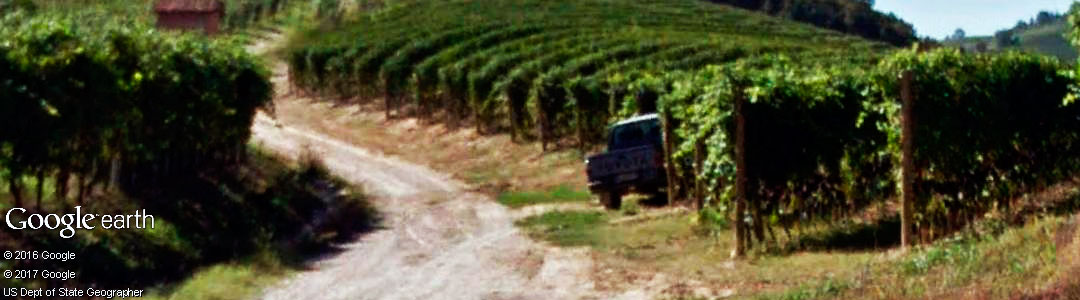 Vinhos da It&aacute;lia