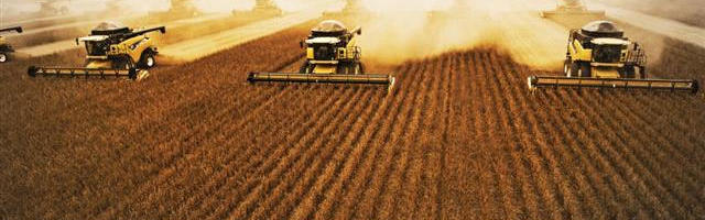 Agronegócio, Economia, São Paulo, Brasil Agronegócio, Economia, São Paulo, Brasil