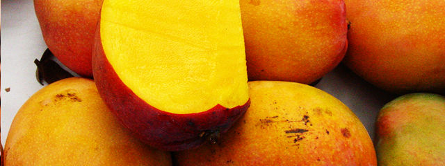 Frutas brasileiras Economia, Brasil