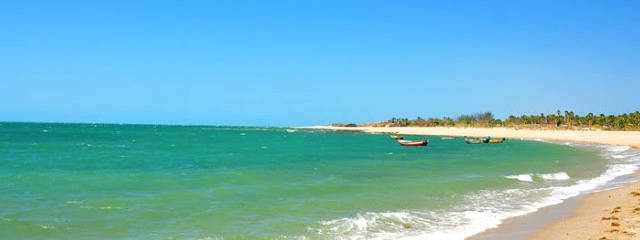 Playa Barra Grande (Piauí), Brasil © Juscelino Reis / Ilustración