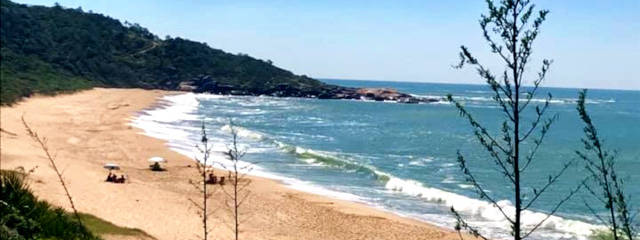Playa Playa Taquarinhas, Balneário Camboriú Playas de Brasil