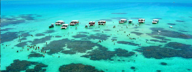 Playa Maragogi (Alagoas) en Playas de Brasil © SETUR/AL