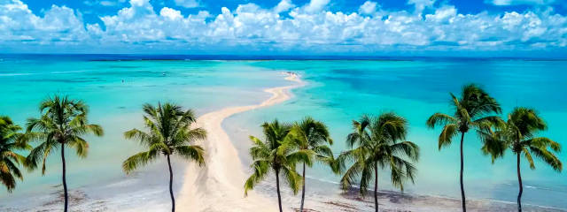 Playa Maragogi y banco de corales de la Costa Norte de Alagoas (Nordeste de Brasil) © / Ilustración