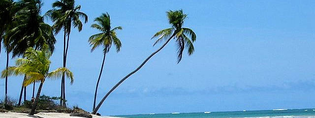 Playa Carneiros en Playas de Brasil