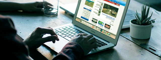 Vida Oline, Top do Brasil